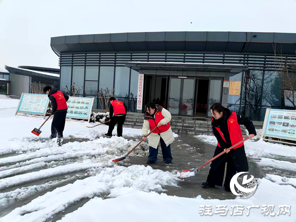 平舆县新时代文明实践中心在天水湖公园开展清雪除冰志愿服务活动