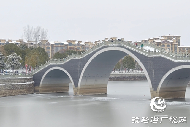 【大美天中】泌阳:瑞雪绘童话 银装映风华
