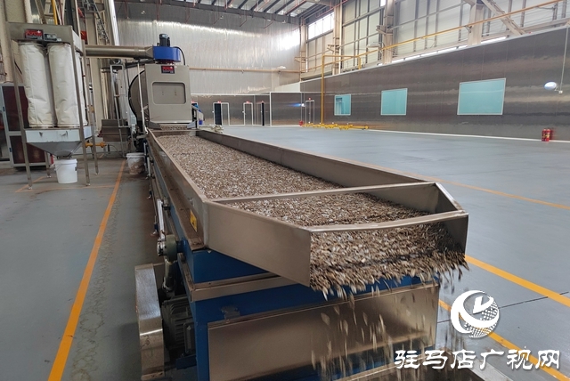 借力“农加会” 沃阳食品跑出成长“加速度”