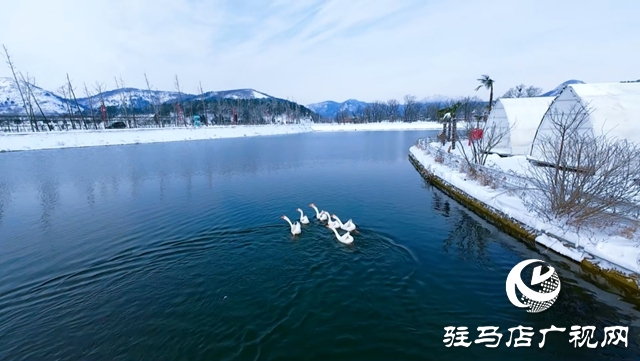 确山:山禾美溪民宿启幕 民宿产业迈入5.0发展新阶段