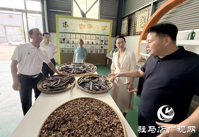 黄淮学院:科技特派员深耕田间 把论文写在天中大地