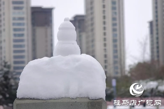 【大美天中】泌阳:瑞雪绘童话 银装映风华