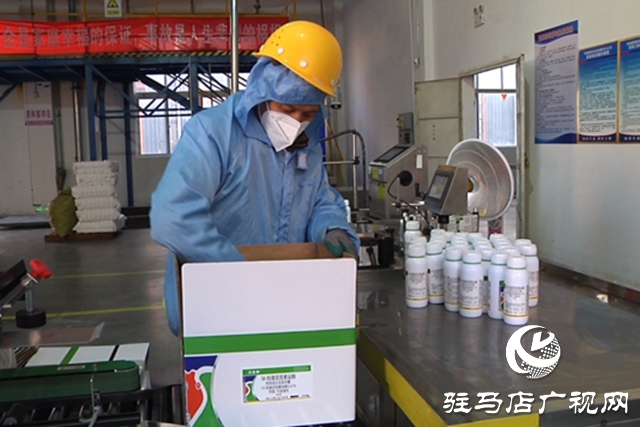 河南粮保作物：加班加点赶订单 冲刺首季“开门红”