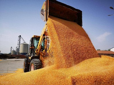 再创历史新高！2025年粮食产量达14298亿斤