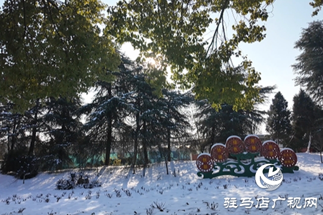 雪后置地公园:银装素裹映笑语