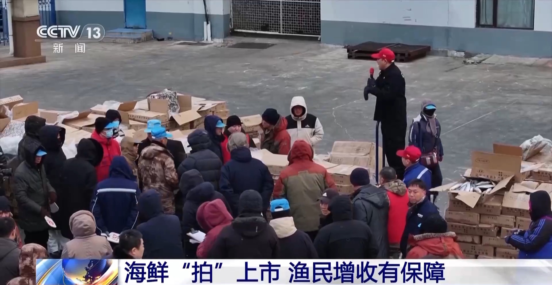 拍卖竞价、设施焕新……冬日水产品抢“鲜”上市