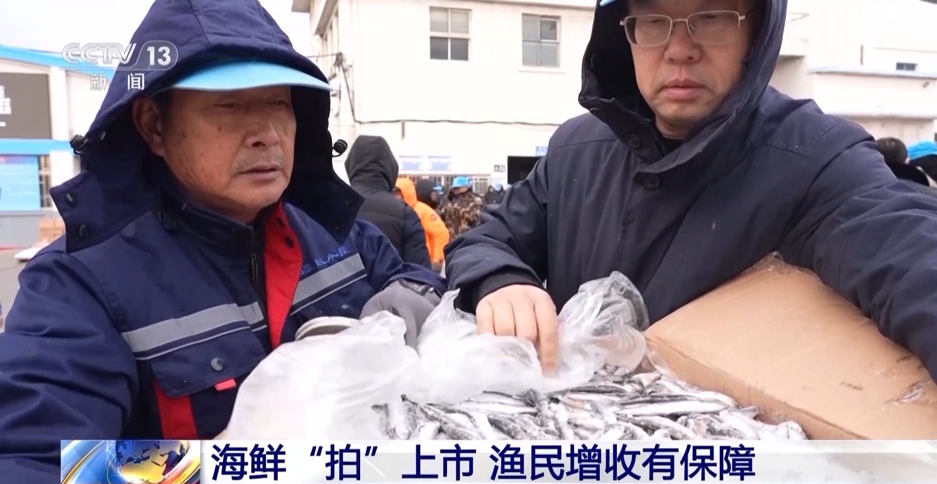 拍卖竞价、设施焕新……冬日水产品抢“鲜”上市