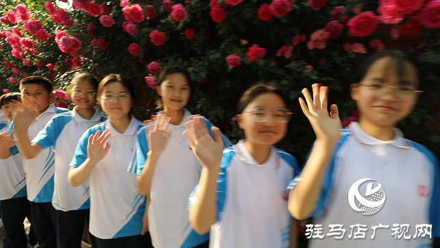 八中蔷薇又开了