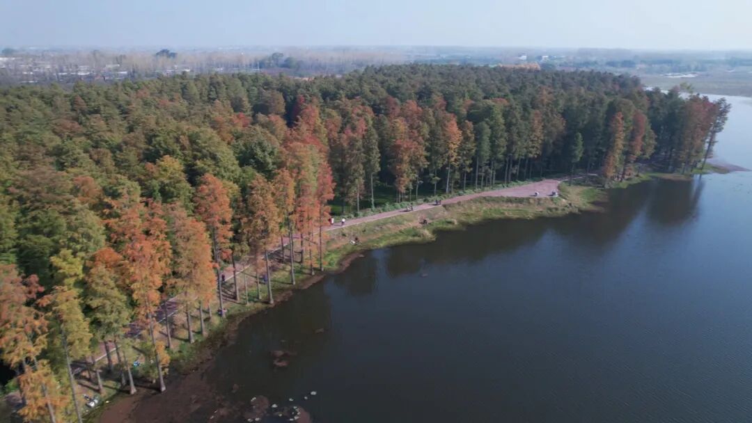 收藏!驻马店县区Citywalk宝藏线路(一)