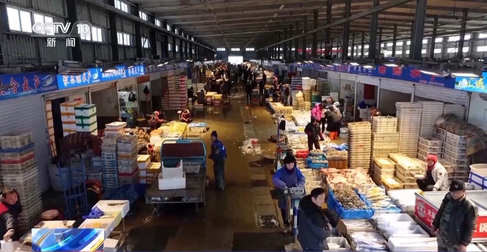 拍卖竞价、设施焕新……冬日水产品抢“鲜”上市