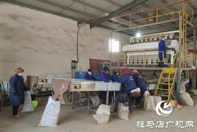 【天中光荣榜】戴子星：四十二载育良种 一生守望丰收路