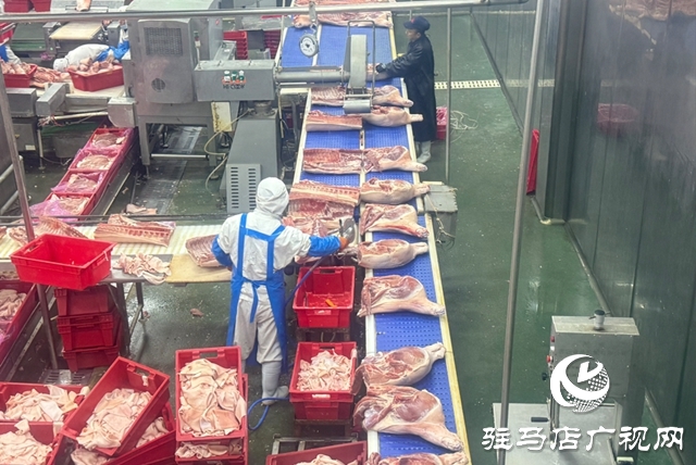 驻马店大红门:满产冲刺迎新春 产销两旺启新程