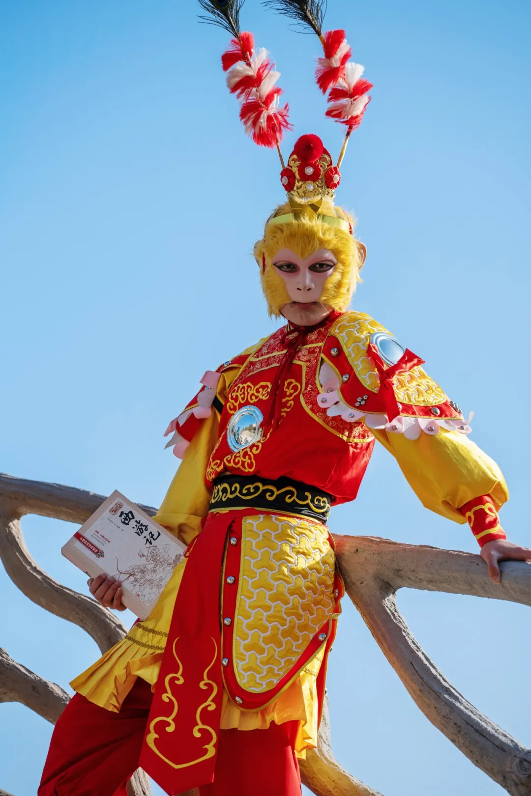 限时福利丨购买优惠套票,免景区门票!