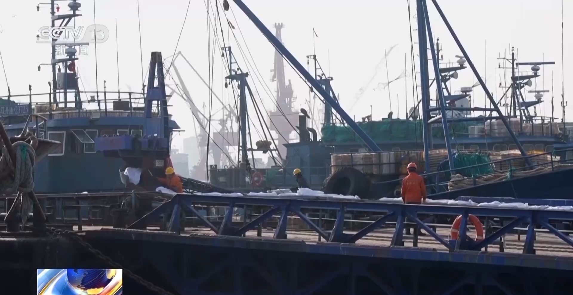 拍卖竞价、设施焕新……冬日水产品抢“鲜”上市