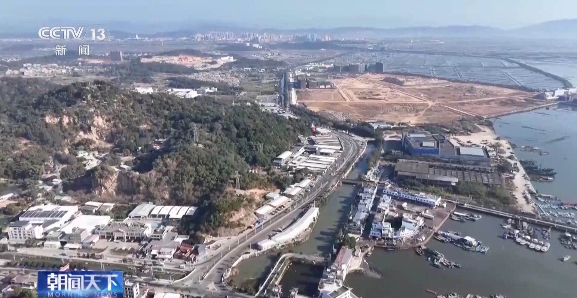 拍卖竞价、设施焕新……冬日水产品抢“鲜”上市