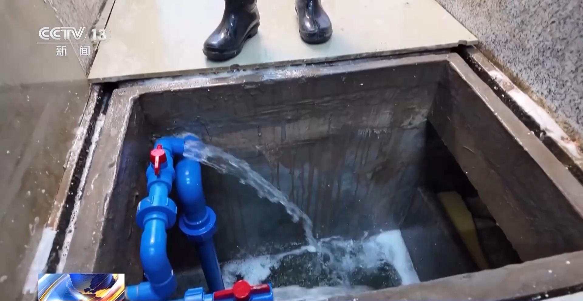 拍卖竞价、设施焕新……冬日水产品抢“鲜”上市