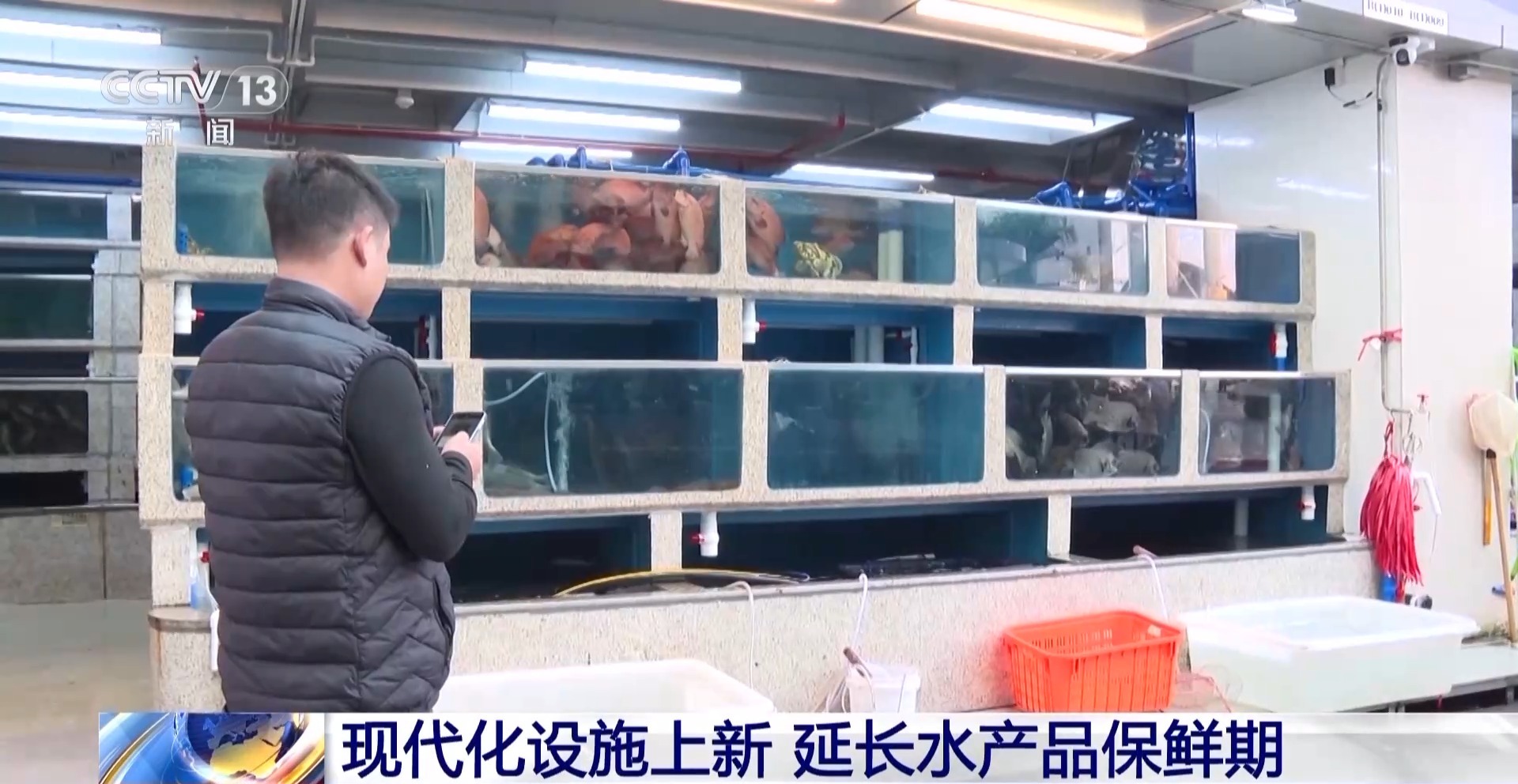 拍卖竞价、设施焕新……冬日水产品抢“鲜”上市