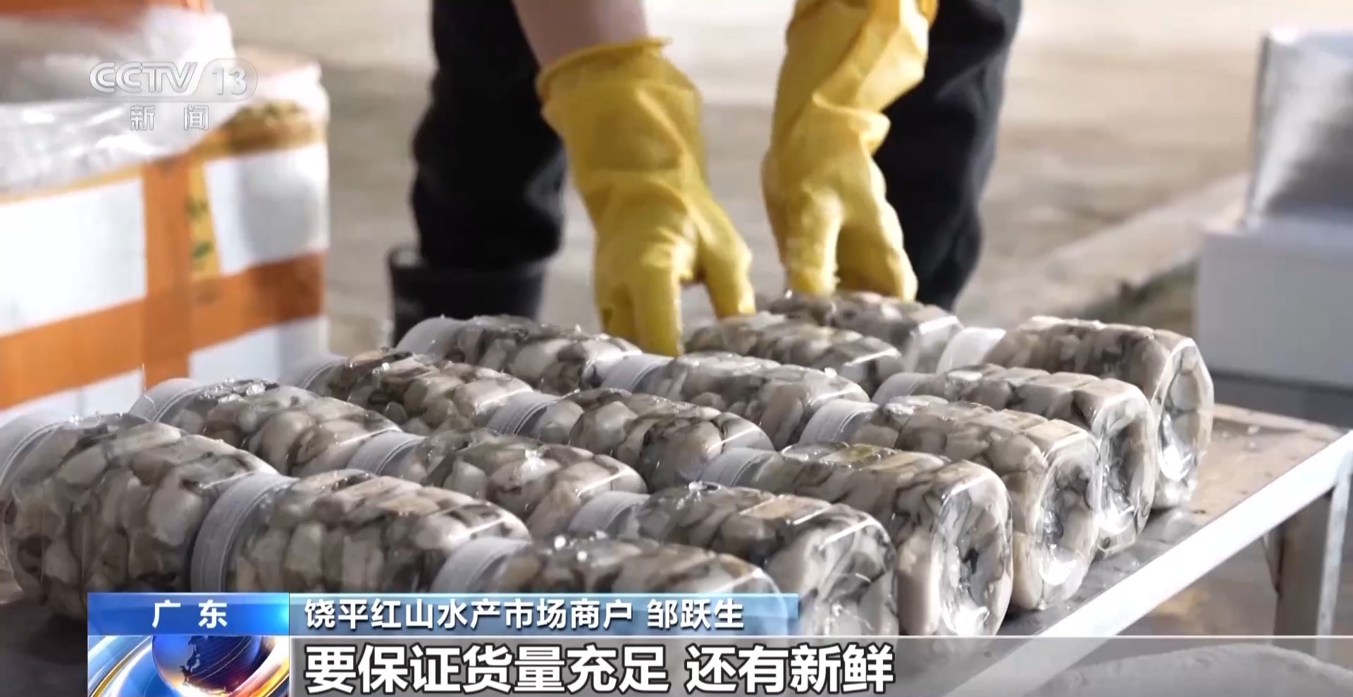 拍卖竞价、设施焕新……冬日水产品抢“鲜”上市