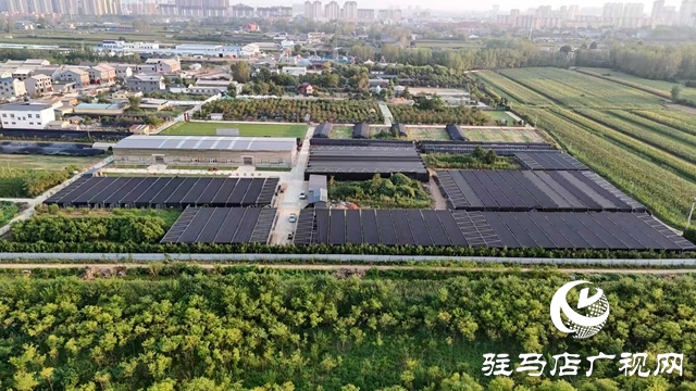 泌阳县花园街道:农文旅融合发展夯实乡村振兴根基