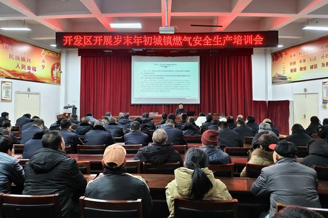 驻马店经济开发区：聚焦燃气安全 筑牢节日防线