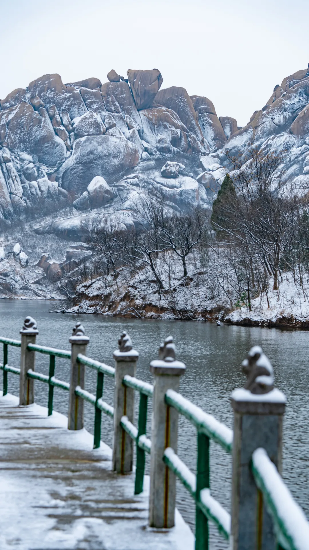 戏韵满天中，名家贺新春！2026驻马店新春戏曲晚会邀您共赏