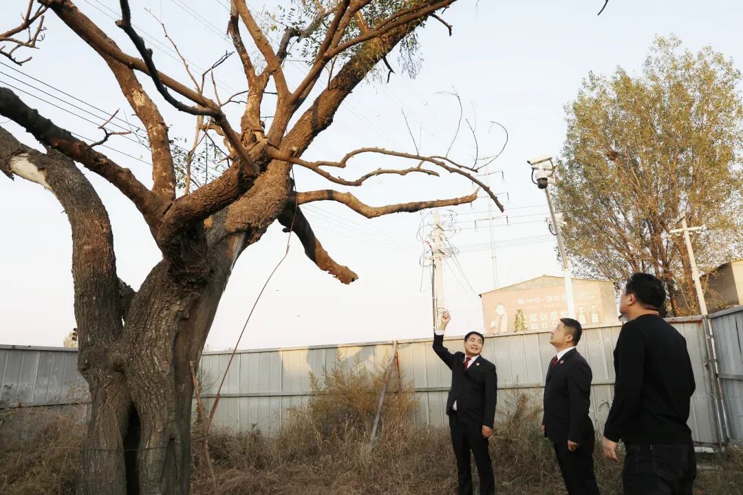 驿城区检察院依托双向衔接守护人民群众美好生活