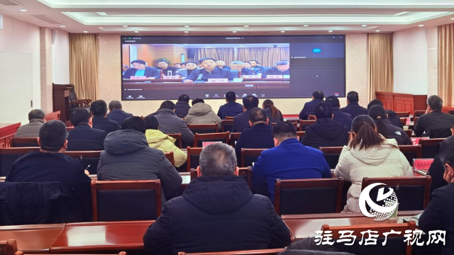 驻马店市组织收听收看2026年河南省春运电视电话会议