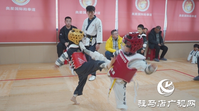  冬日竞技燃激情 体育赋能育新苗&mdash;&mdash;驿城区青少年冬季运动会精彩开赛