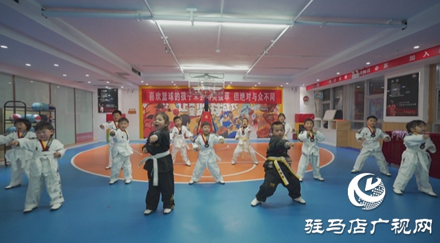  冬日竞技燃激情 体育赋能育新苗&mdash;&mdash;驿城区青少年冬季运动会精彩开赛