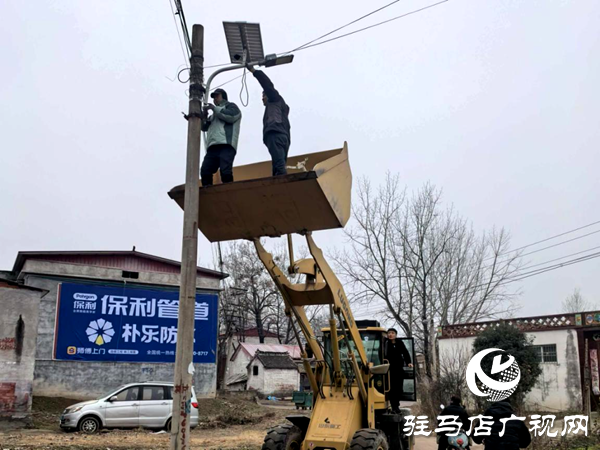 平舆县射桥镇：捐灯盏照亮归途路 献爱心温暖乡邻心
