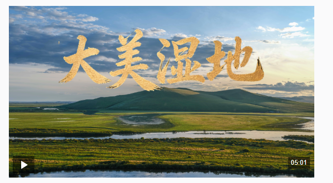 时政微视频丨大美湿地