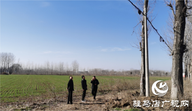 驻马店联通深入一线推进通信线路隐患整治