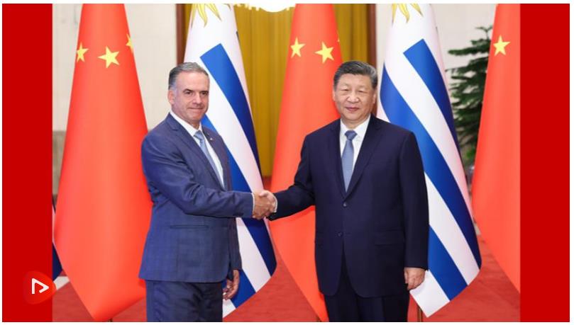 习近平同乌拉圭总统奥尔西举行会谈