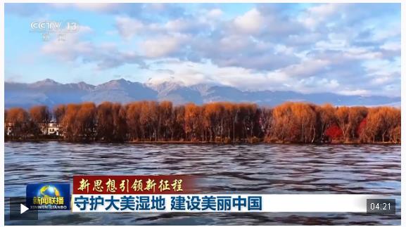 新思想引领新征程丨守护大美湿地 建设美丽中国