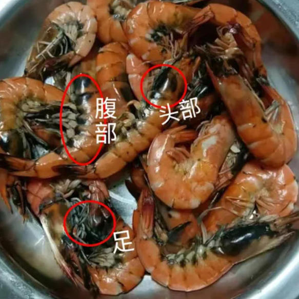 变黑的虾还能吃吗？这种“黑虾”千万别吃