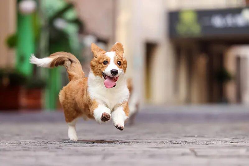 厚衣服先别着急收！立春养生，做好这7件事，一年少生病！