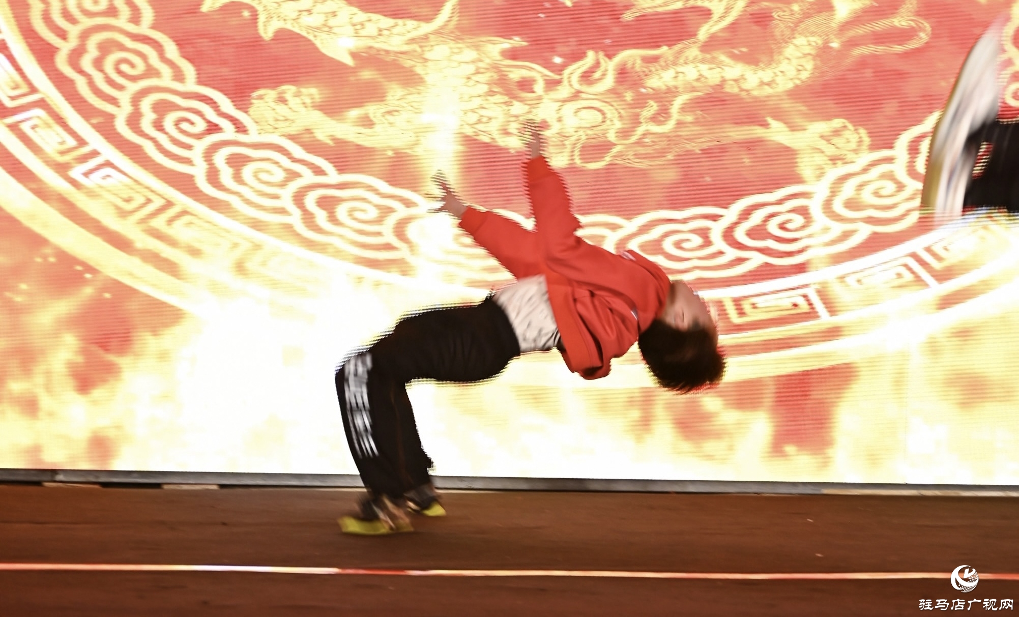 正阳县起点功夫2025年度盛典圆满落幕