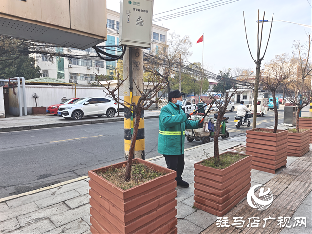  开发区城市管理事务中心:抢抓养护黄金期 为城市精细梳妆