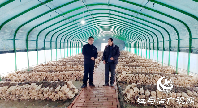 新蔡县黄楼镇石家湖村：深学细悟全会精神 绘就乡村振兴新图景