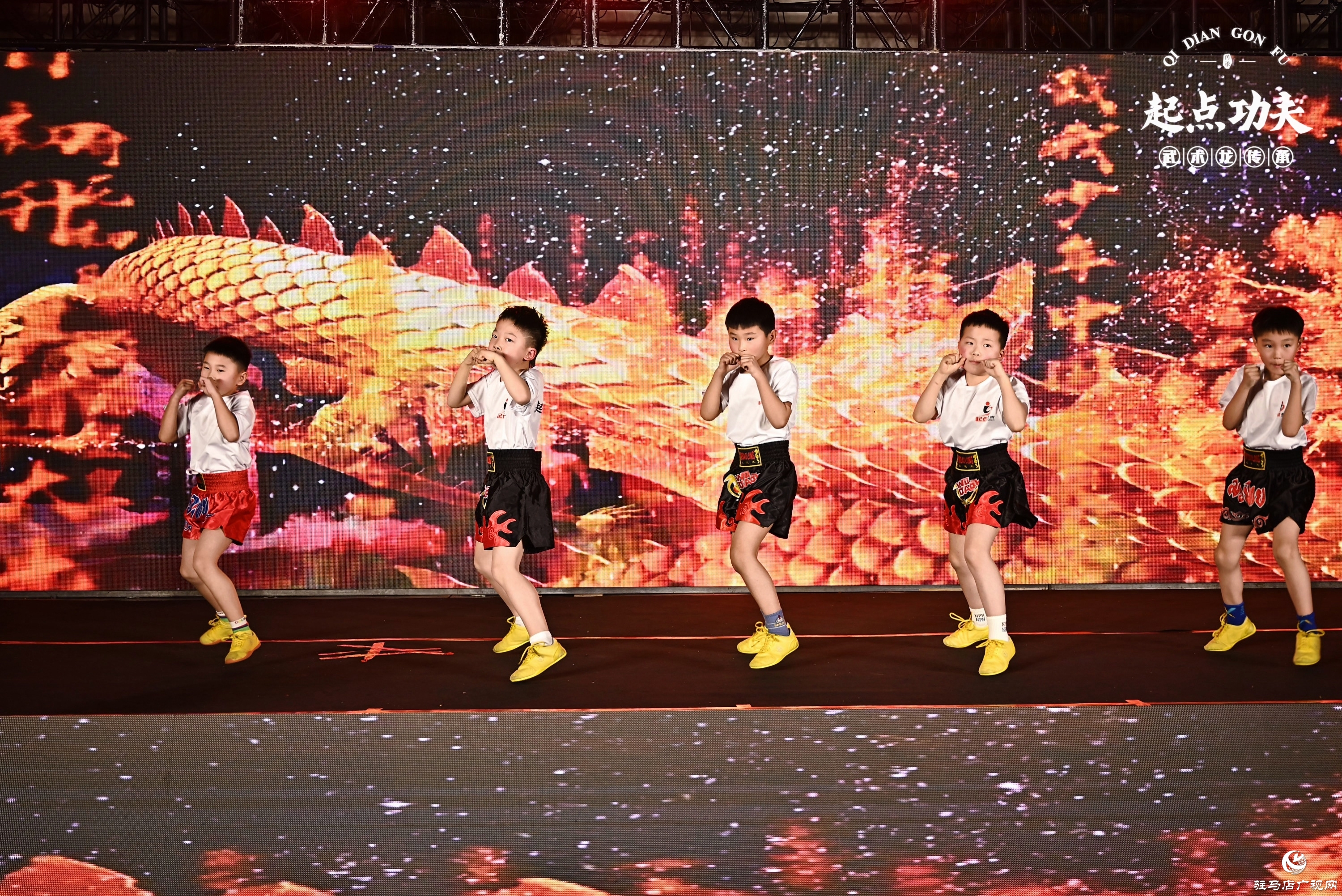 正阳县起点功夫2025年度盛典圆满落幕