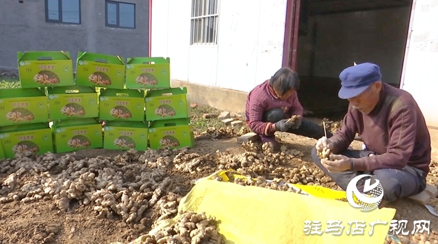 上蔡：传统年货火爆出圈 解锁乡村振兴新味道