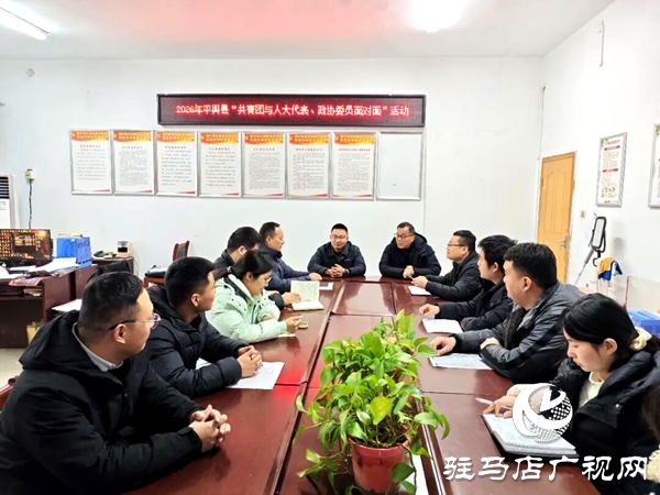 平舆团县委开展2026年“共青团与人大代表、政协委员面对面”活动