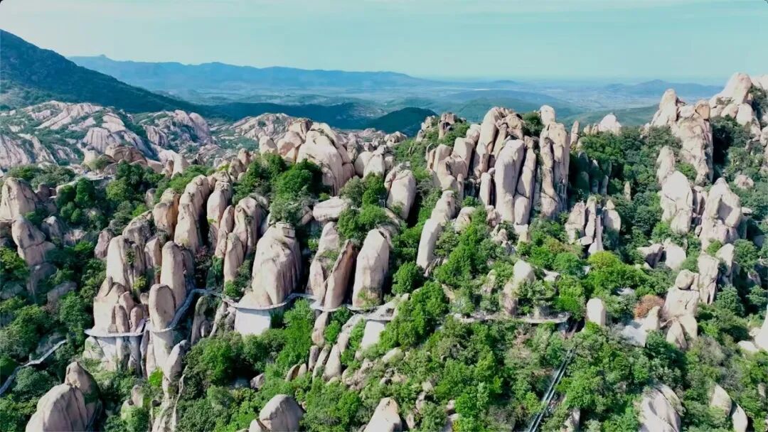 立春启新，春满天中｜驻马店邀你赴一场春日之约