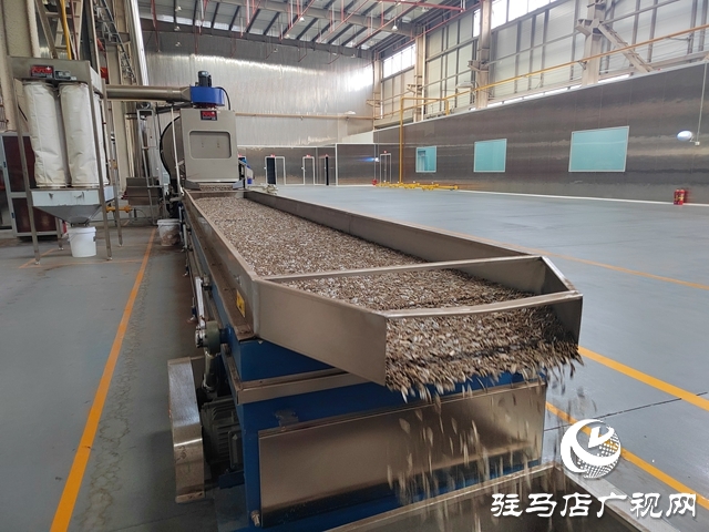 驻马店沃阳食品有限公司：抢抓新春消费潮 以实干拼出新年&ldquo;开门红&rdquo;