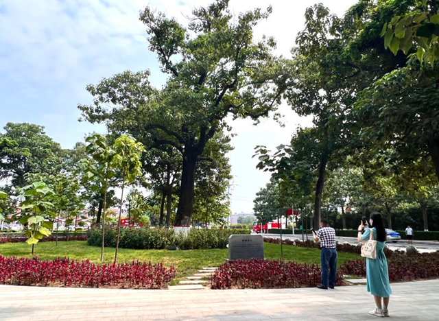 跨越一甲子，这篇新闻经典仍激荡人心