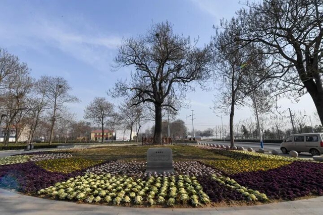 60年前开启的这项报道，我们代代接力