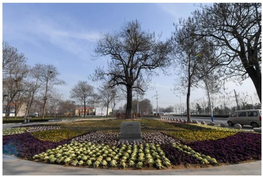 60年前开启的这项报道，我们代代接力