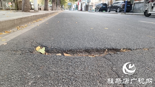骏马路全面整修 市民出行体验将提升