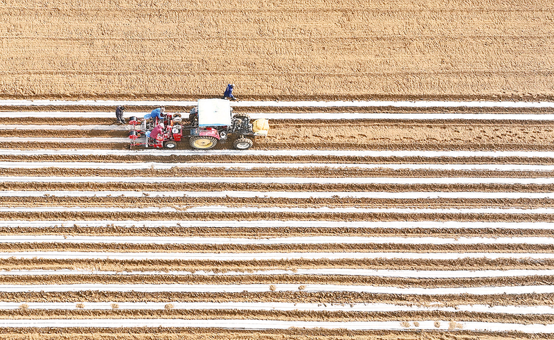 人勤春早农事忙