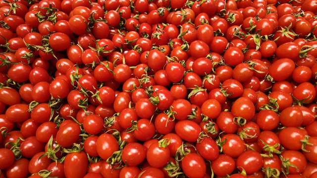 我市春节市场供应货丰价稳 激活新春消费新活力